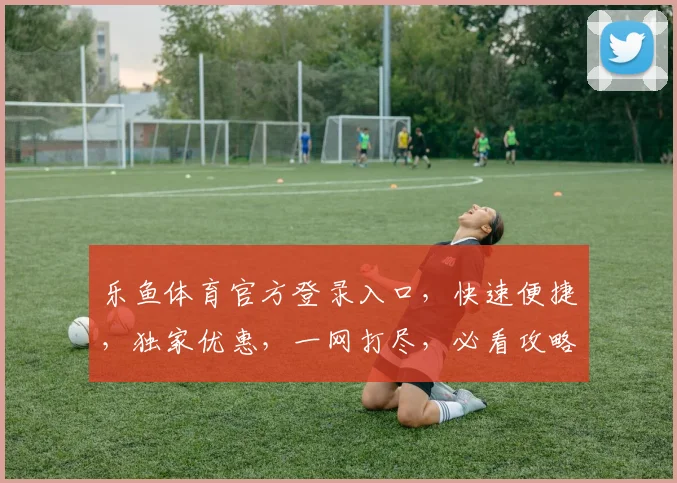 乐鱼体育官方登录入口，快速便捷，独家优惠，一网打尽，必看攻略，不容错过