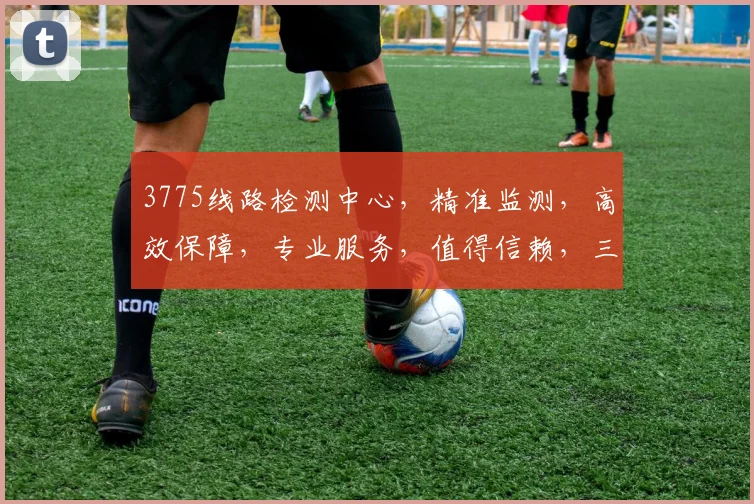 3775线路检测中心，精准监测，高效保障，专业服务，值得信赖，三大亮点凸显