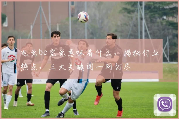 电竞bc究竟意味着什么，揭秘行业热点，三大关键词一网打尽